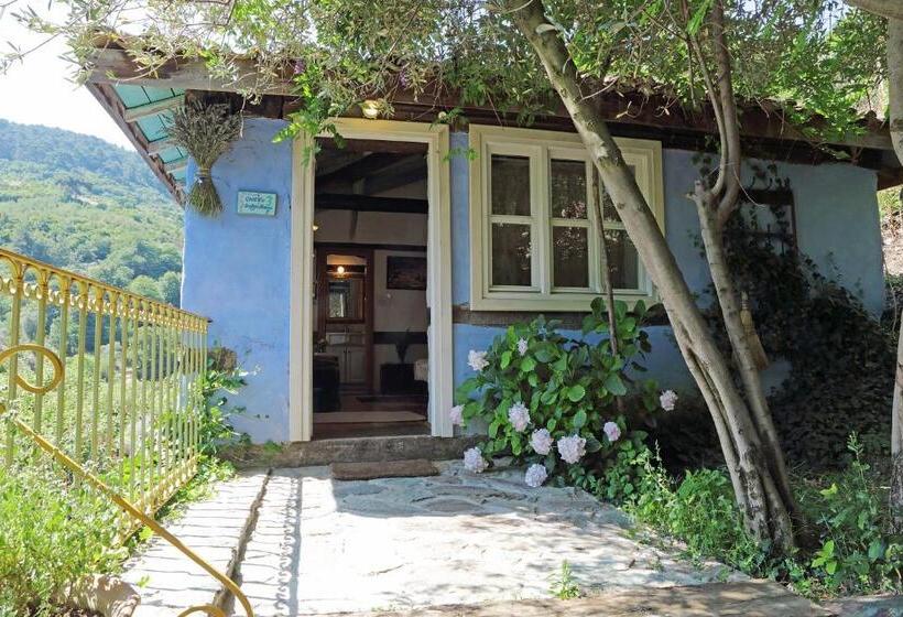 침실 1개 주택, Nisanyan