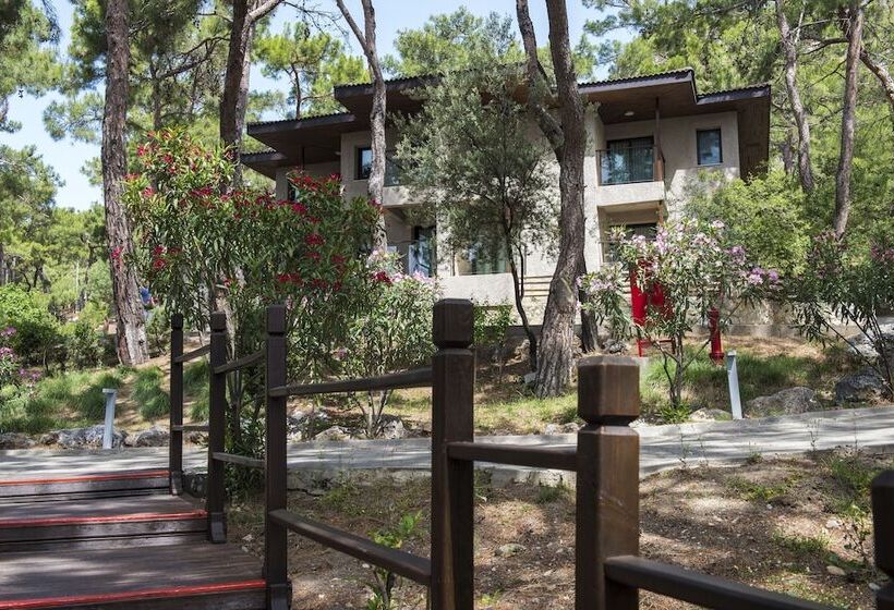 اتاق استاندارد, Tui Blue Seno   Adults Only