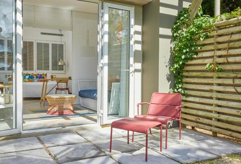 ジュニアスイート, Zilwa Attitude