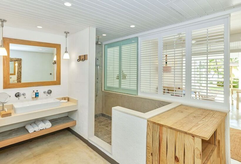 ジュニアスイート, Zilwa Attitude