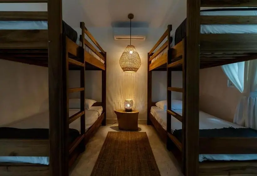 スイート（家族用）, Las Canas Beach Retreat