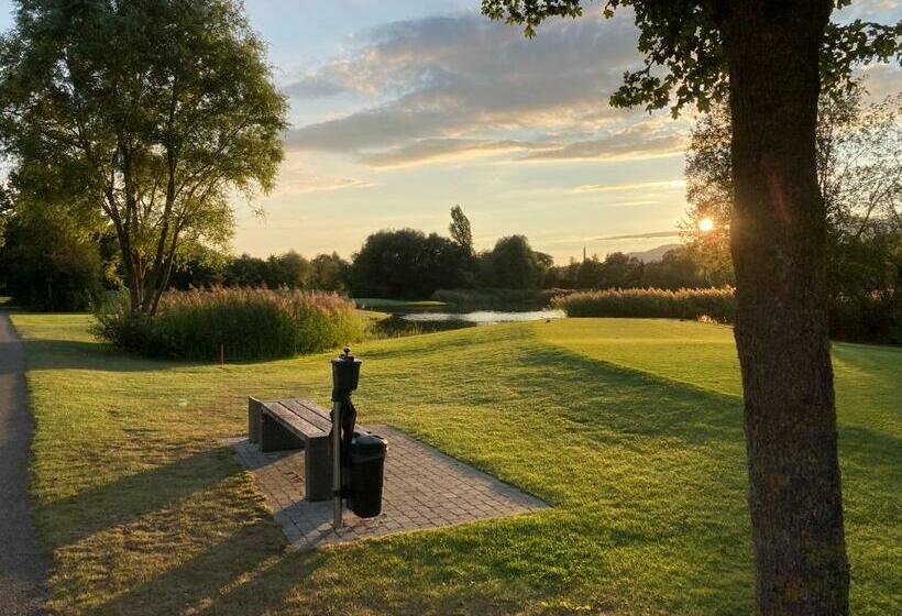 标准单人间, Zimmer Solothurn Luterbach