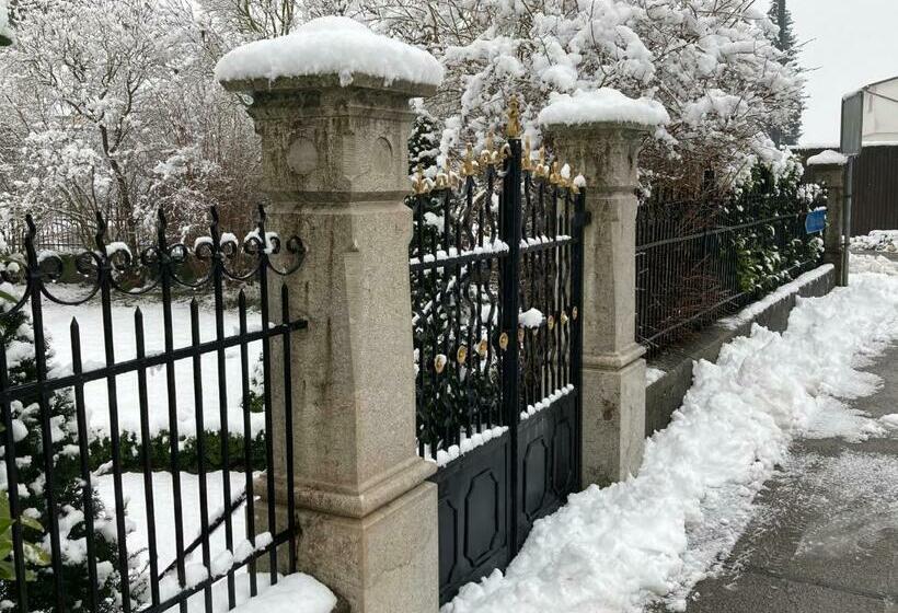 标准单人间, Zimmer Solothurn Luterbach