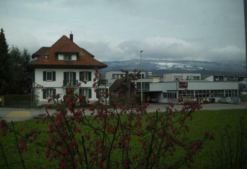 Номер Стандарт Индивидуальный, Zimmer Solothurn Luterbach