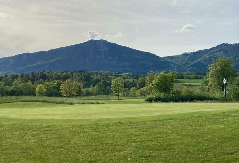 标准单人间, Zimmer Solothurn Luterbach