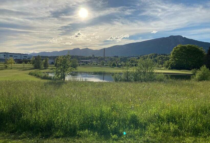 标准单人间, Zimmer Solothurn Luterbach