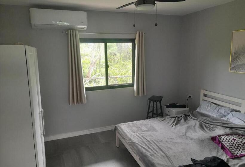 سوئیت با تخت بزرگ, Bohol Jewel Resort