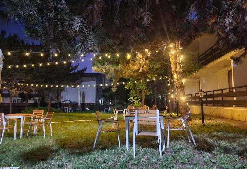 اتاق استاندارد چهار تخته, Hellen Residence