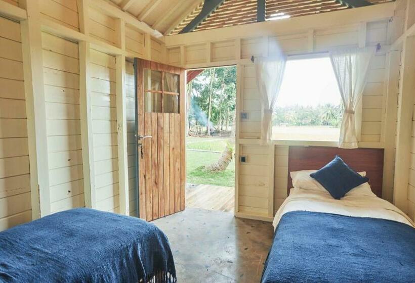 带观景的标准间, House Of Sawah