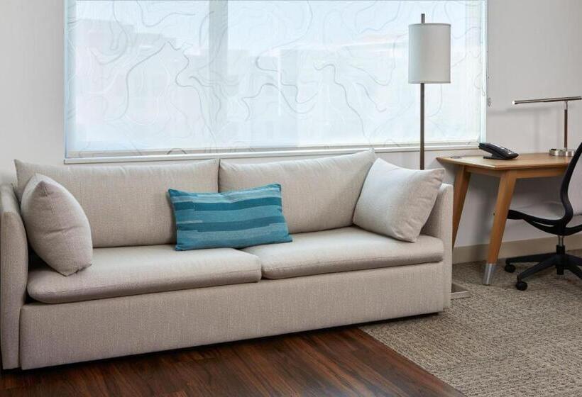 استودیو استاندارد با تخت کینگ, Element Irvine