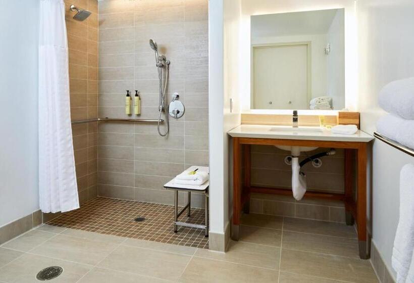 استودیوی استاندارد, Element Irvine