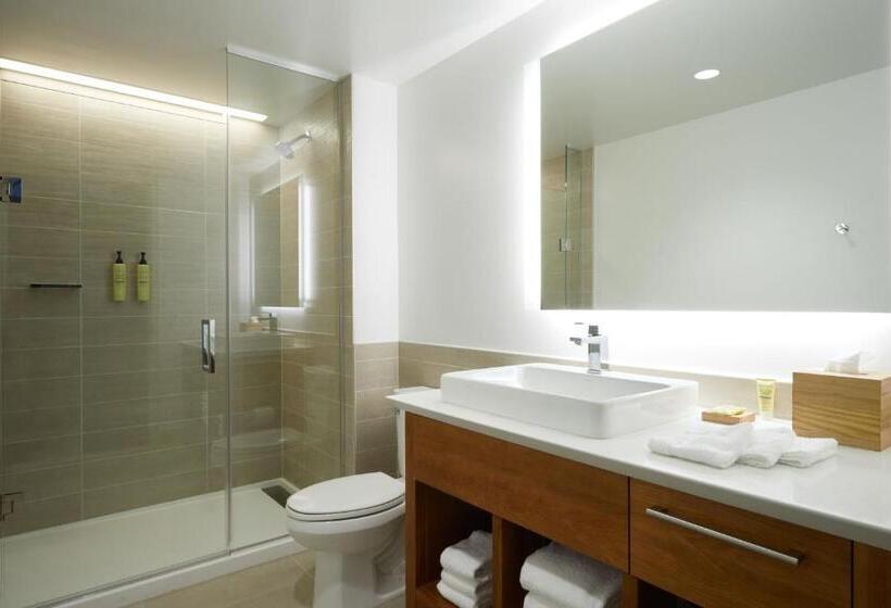 استودیوی استاندارد, Element Irvine