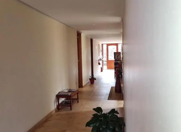 スタンダードルーム, Susagua