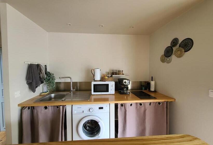 テラス付きスタンダードワンルーム, Plan B