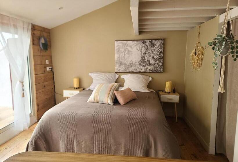 テラス付きスタンダードワンルーム, Plan B