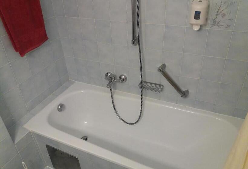 스탠다드 룸, Austria Traveller Hotel Lenzing