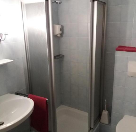 Номер Стандарт Индивидуальный, Austria Traveller Hotel Lenzing