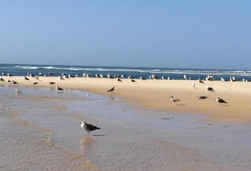 חדר דלוקס נוף לים, Villa Vista Mar Piscina Suites