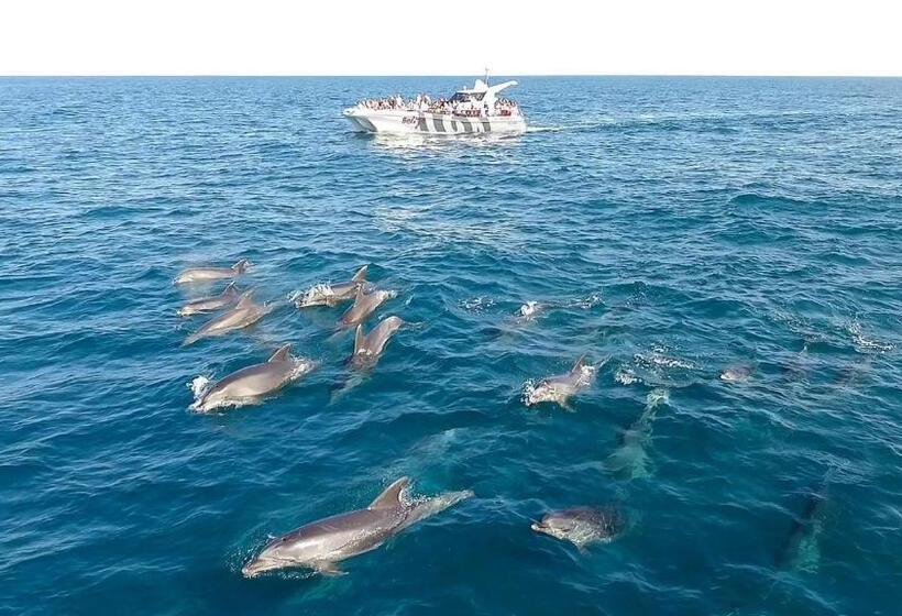 수피리어 룸 바다 전망, Villa Vista Mar Piscina Suites