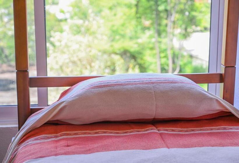 Семейный Номер, Casa Leonor