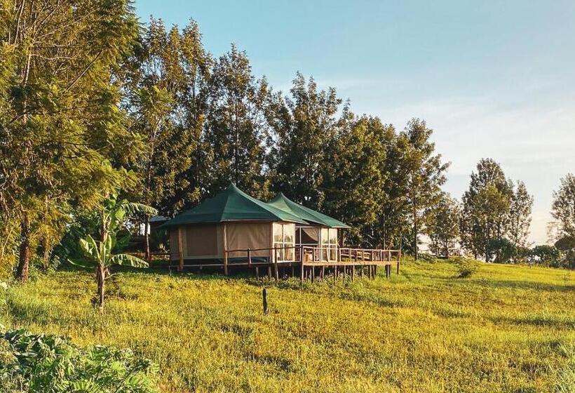 اتاق لوکس خانوادگی, Foresight Eco Lodge & Safari