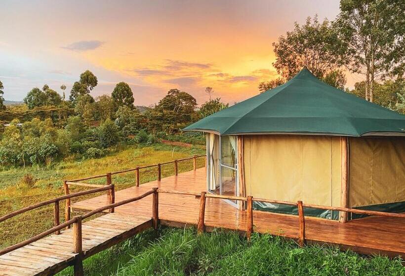 اتاق لوکس خانوادگی, Foresight Eco Lodge & Safari