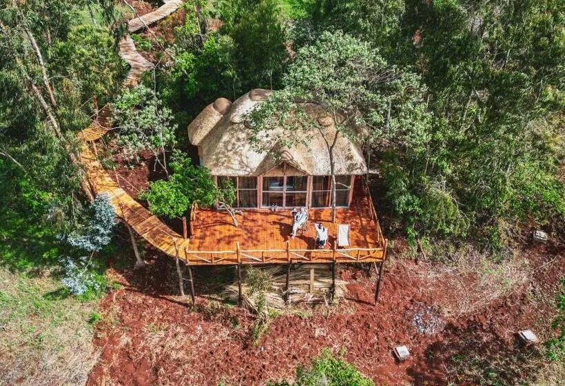 キングサイズベッドのスーペリアルーム, Foresight Eco Lodge & Safari