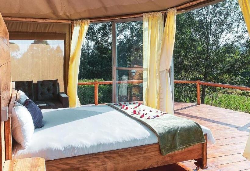 اتاق لوکس خانوادگی, Foresight Eco Lodge & Safari