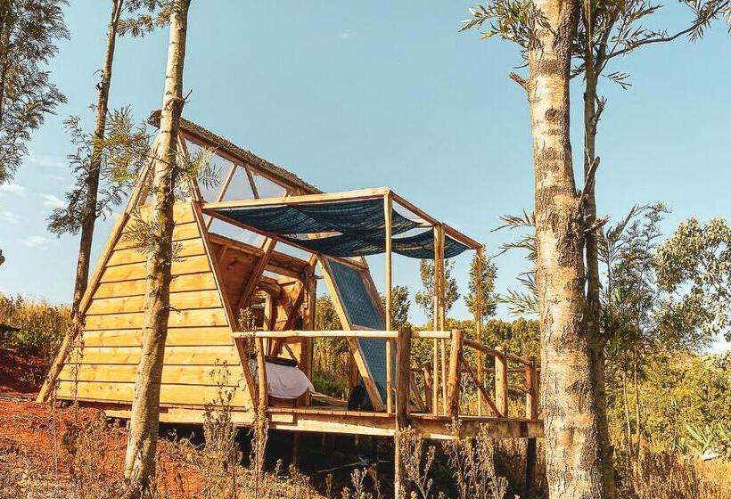 Номер Deluxe, Foresight Eco Lodge & Safari