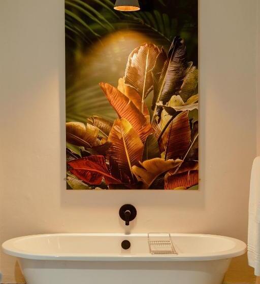 اتاق سوپریور, Nkosi Guest Lodge