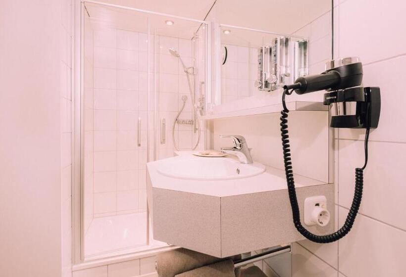 غرفة قياسية فردية, Naturhotel Chesa Valisa