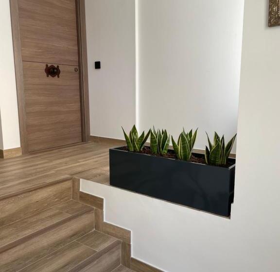 اتاق استاندارد, Ateneo Cuenca Suites