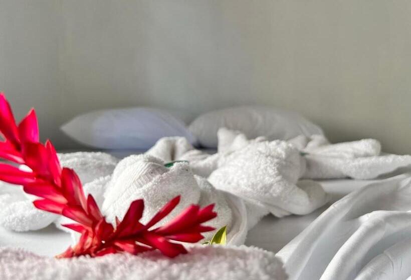 اتاق استاندارد, Natural Experience House