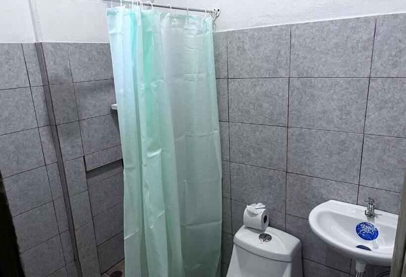 Номер Стандарт, Natural Experience House