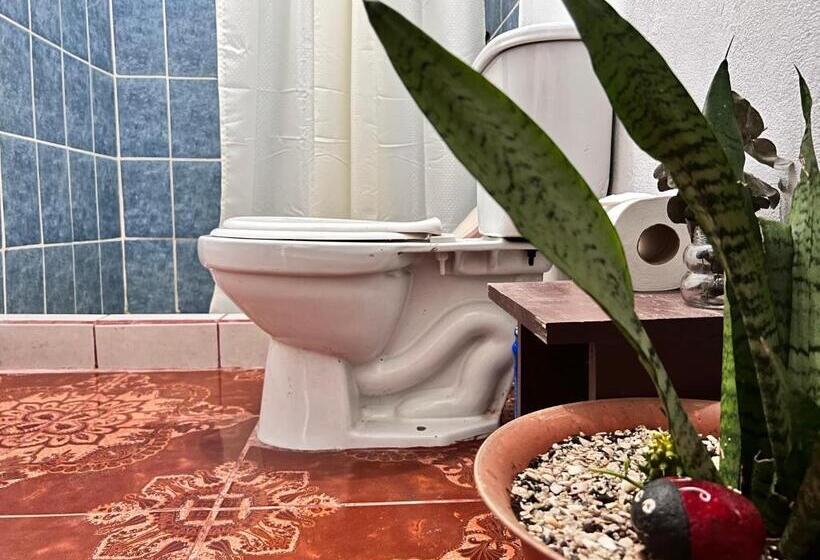 اتاق خانوادگی, Natural Experience House