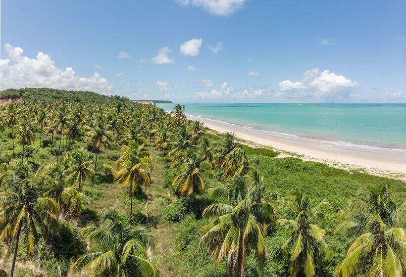 شقة سوبريور غرفة واحدة, Vila Gale Resort Alagoas  All Inclusive