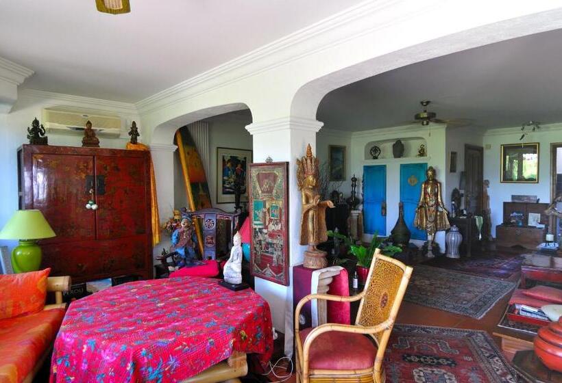 اتاق لوکس, Babou