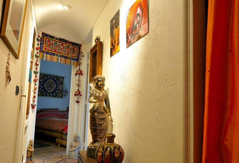 اتاق لوکس, Babou