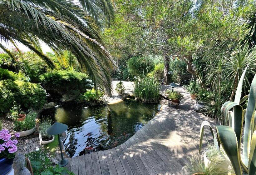 اتاق لوکس, Babou