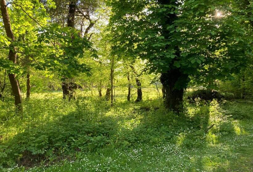 اتاق استاندارد با چشم‌انداز باغ, Ivy Cottage B&b