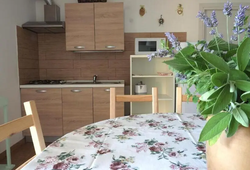 1階の1ベッドルームアパートメント, Casa Vacanze Lepa Vida