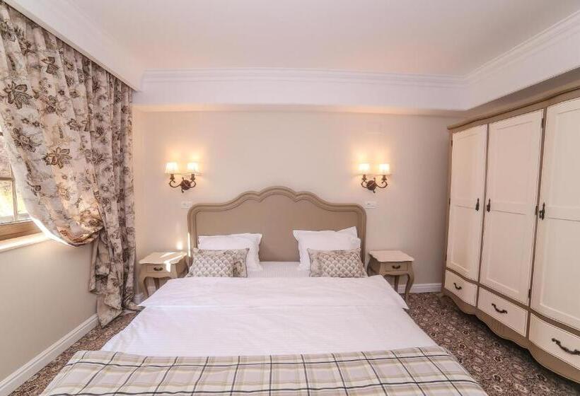 غرفة قياسية مزوَّدة بشُرفة, Pensiunea Dimitrios & Spa   Băile Herculane  Valea Cernei Terapie Spa  Relaxare A Minții și A Trupul