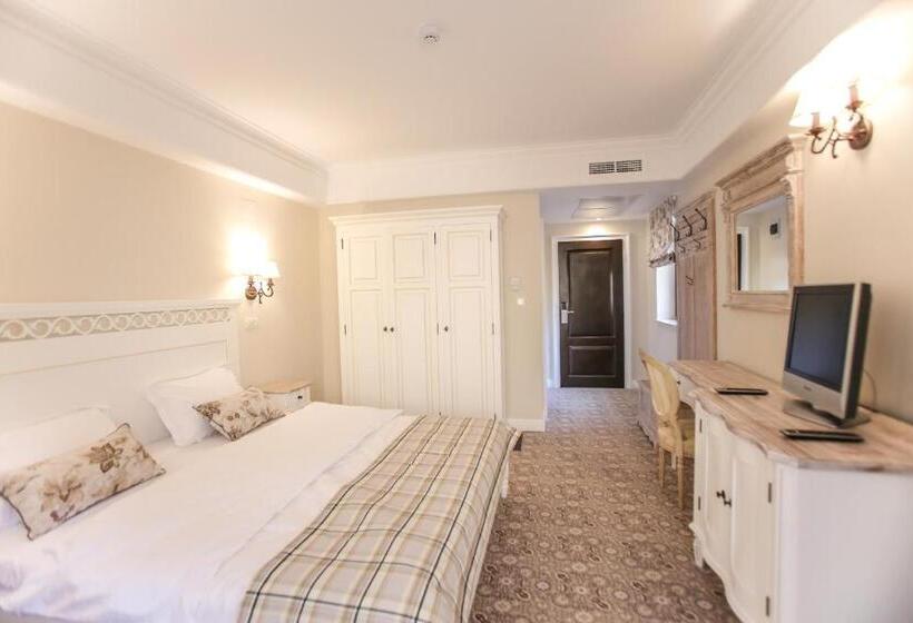 Номер Стандарт с Балконом, Pensiunea Dimitrios & Spa   Băile Herculane  Valea Cernei Terapie Spa  Relaxare A Minții și A Trupul