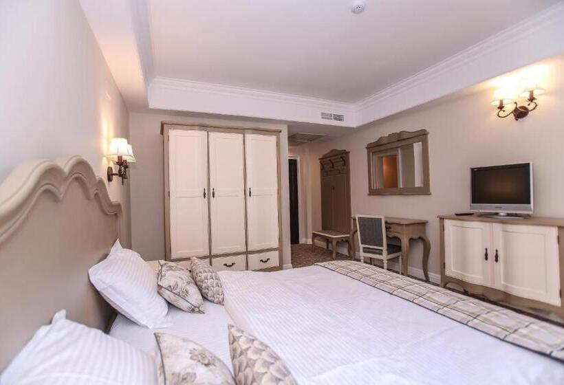 Номер Стандарт с Балконом, Pensiunea Dimitrios & Spa   Băile Herculane  Valea Cernei Terapie Spa  Relaxare A Minții și A Trupul