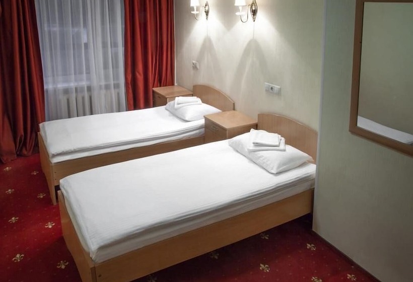 חדר סטנדרט, Amaks Hotel Rossia