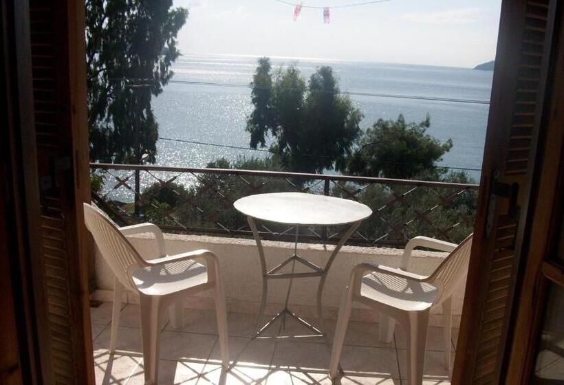 スタンダードルーム, Azalea