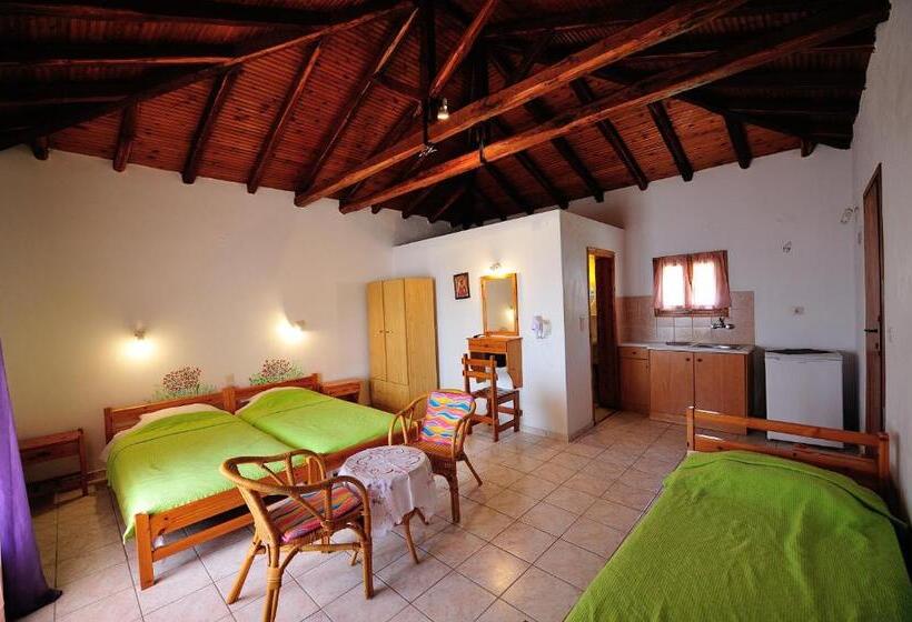 スタンダードルーム, Azalea