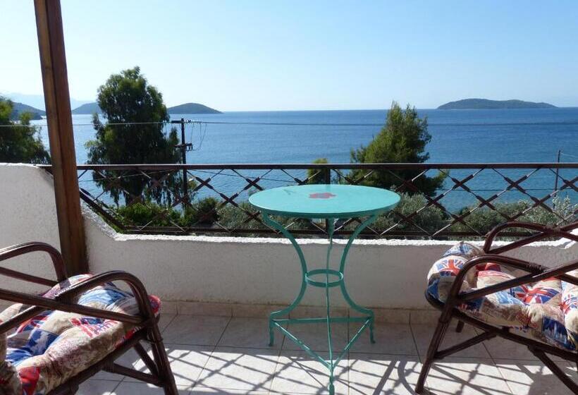 スタンダードルーム, Azalea