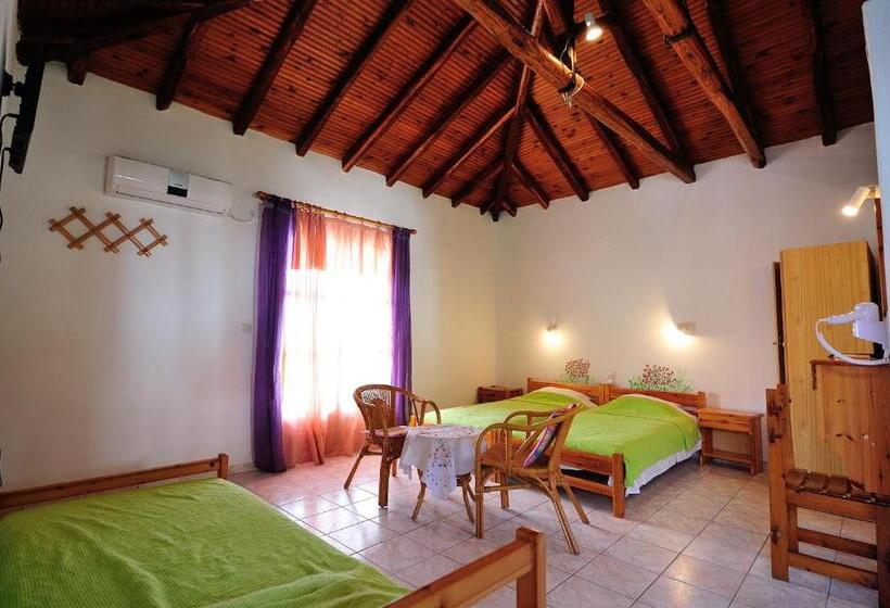 スタンダードルーム, Azalea