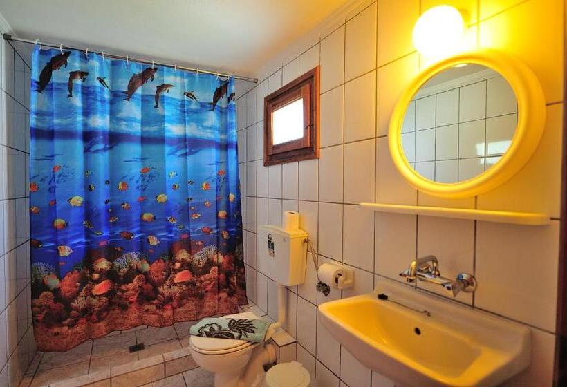 スタンダードルーム, Azalea